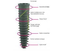 Implant étroit cône morse