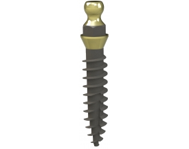 Mini implant