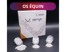 Os Equin - Xenys MATRIX